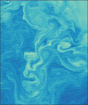 20120516-Plankton Phytoplankton_swirls.jpg